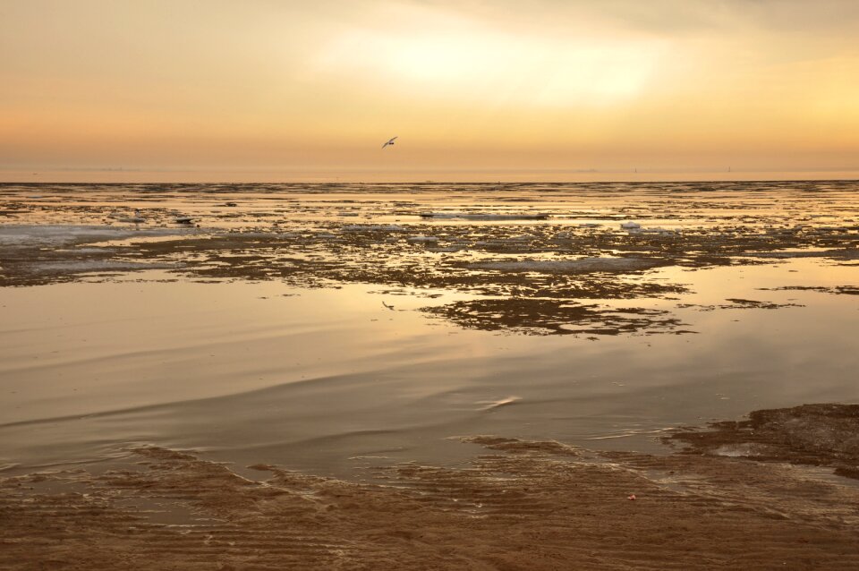 Sand beach sunset