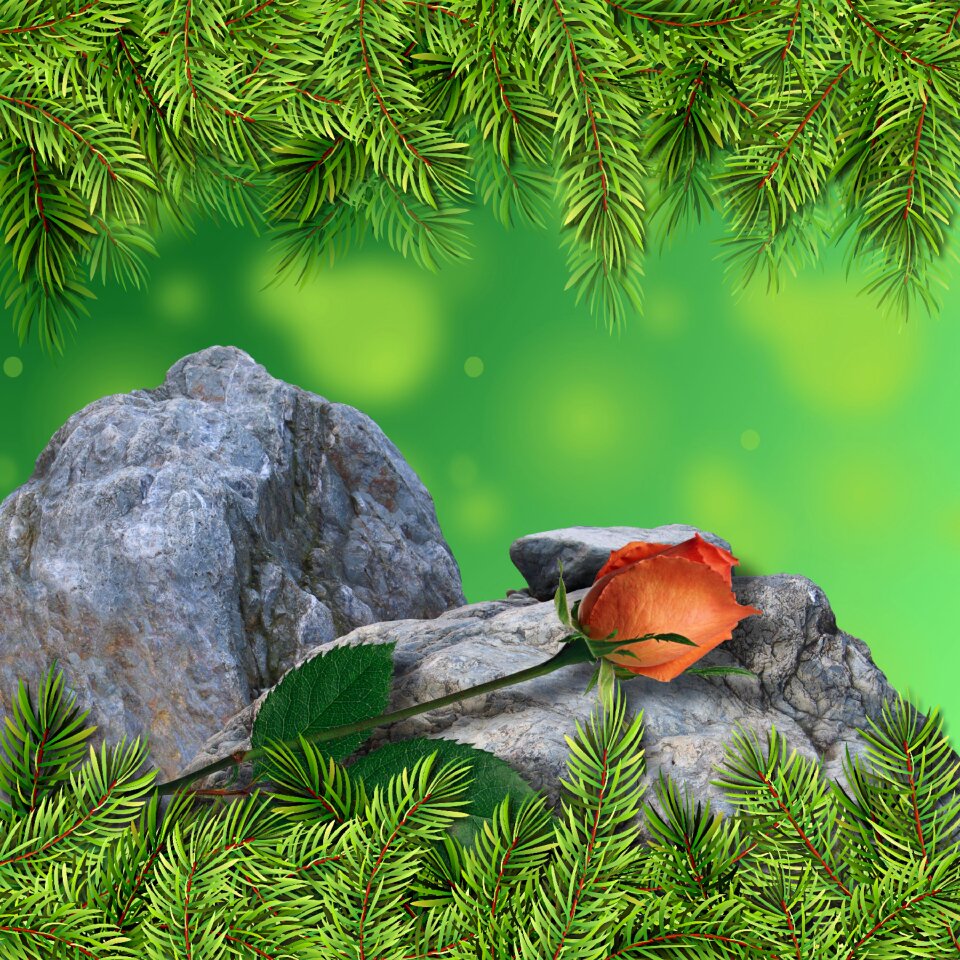 Background design bokeh