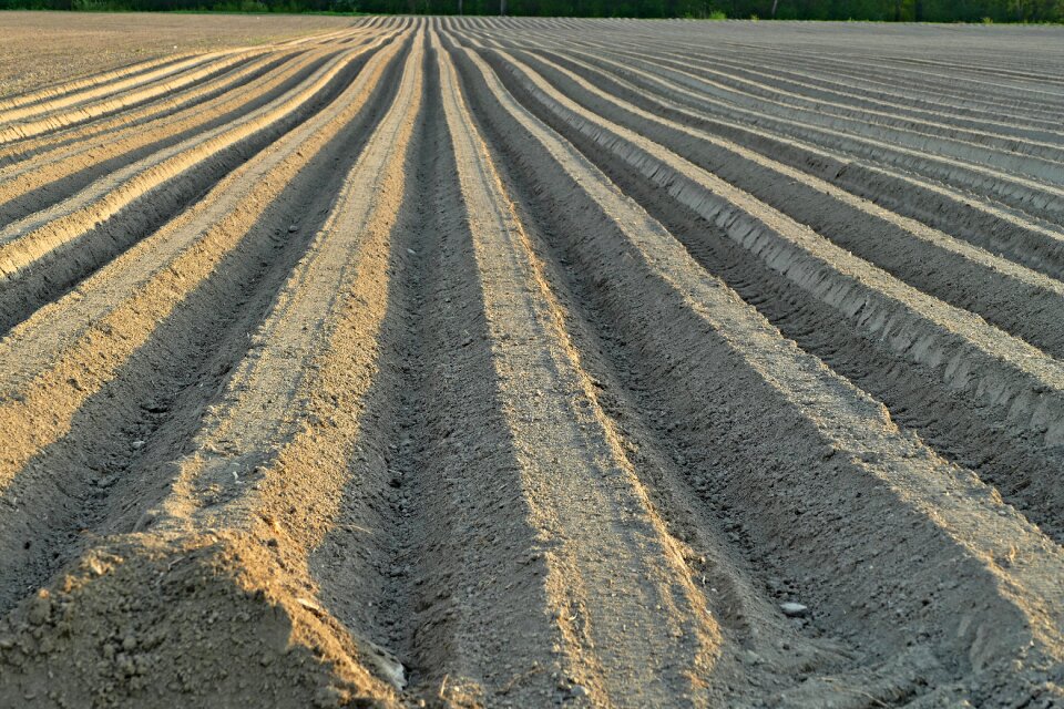 Field ground agriculture