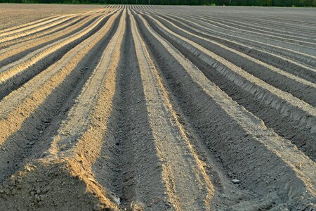 Field ground agriculture