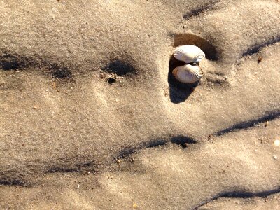 Coast sea most beach