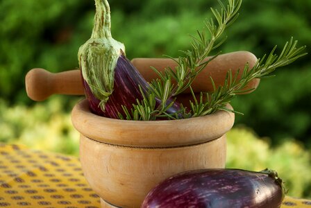 Rosemary mortar pilon