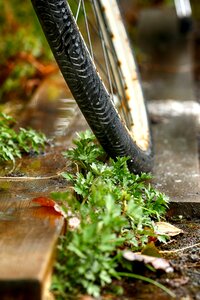 Bike outdoors leaf