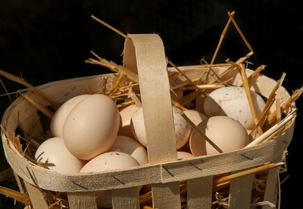 Basket straw hen