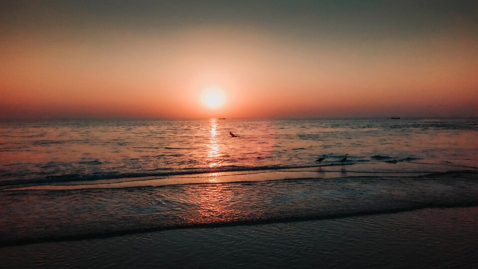 Sunset ocean summer photo