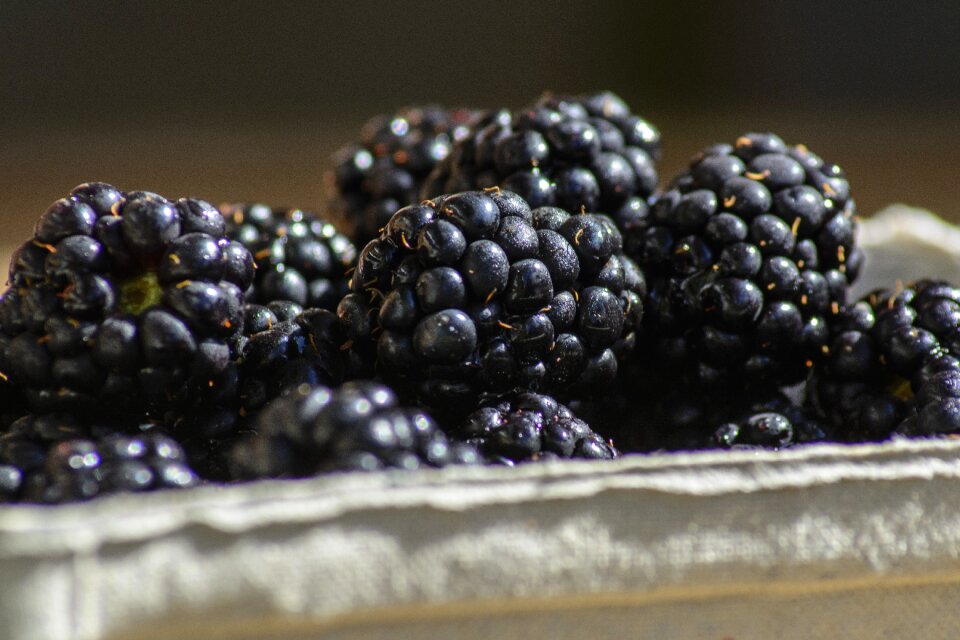Berries food healthy
