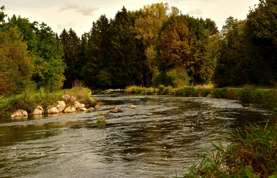 Landscape nature forest