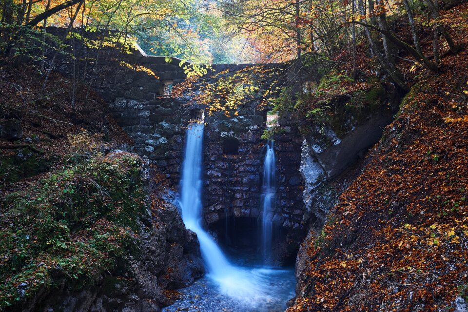 Clammy wolf gorge water