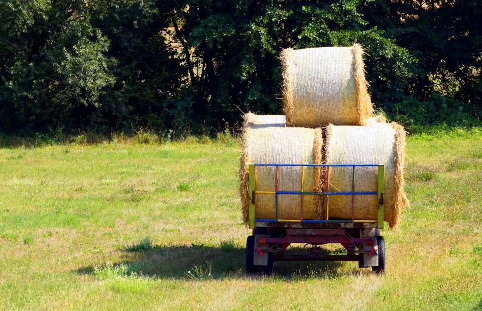 Field agriculture harvest