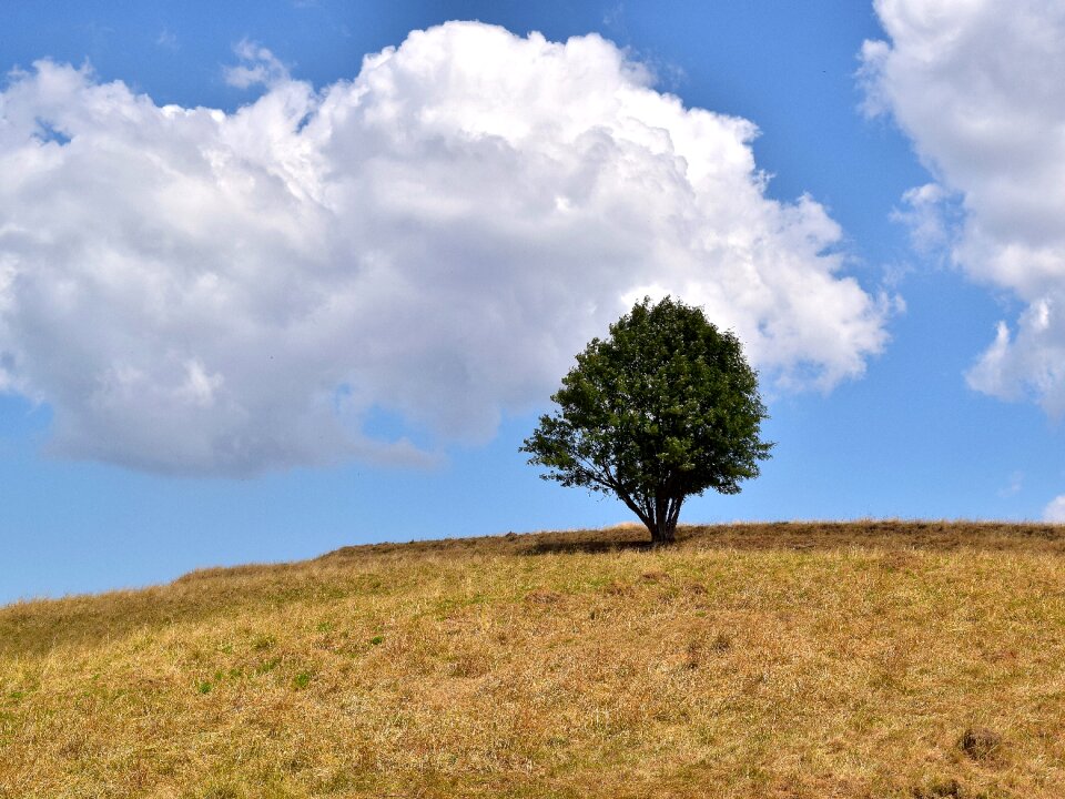 Sky meadow landscape