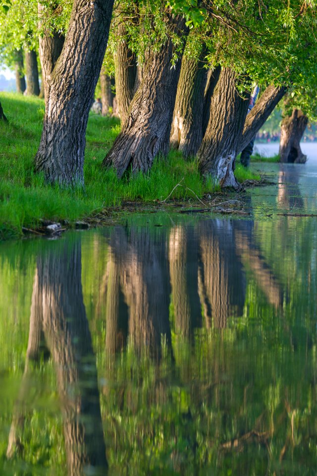 Reflection landscape beautiful
