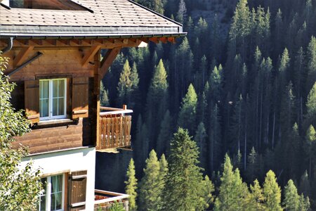 Pine davos steeply