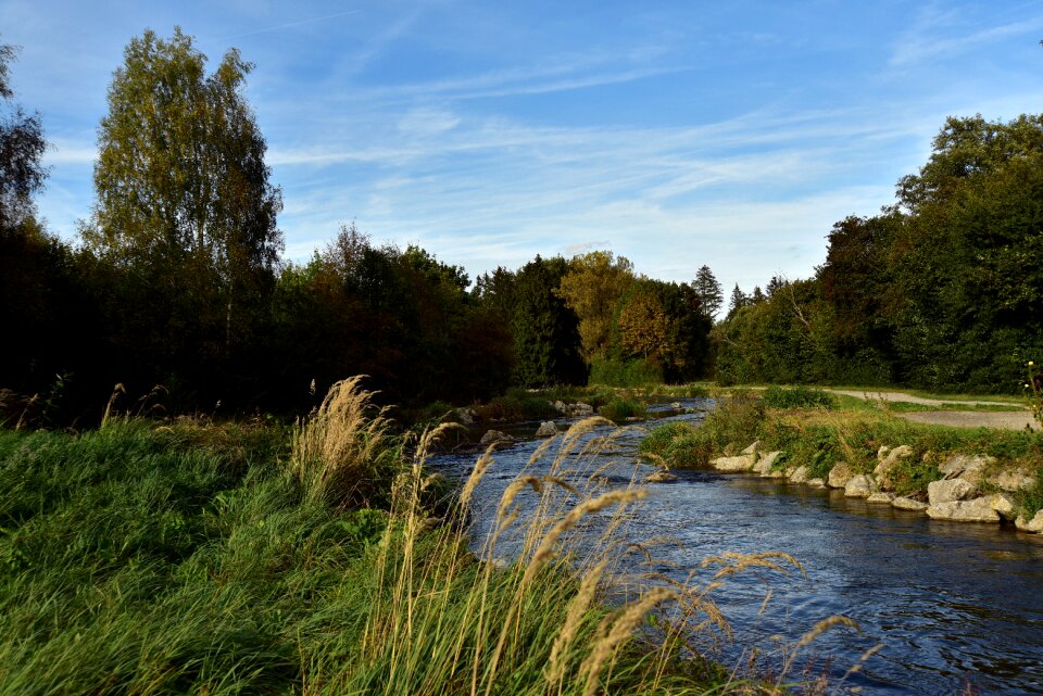 Landscape nature creek