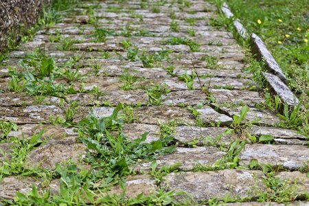 Pavement old palace ruins
