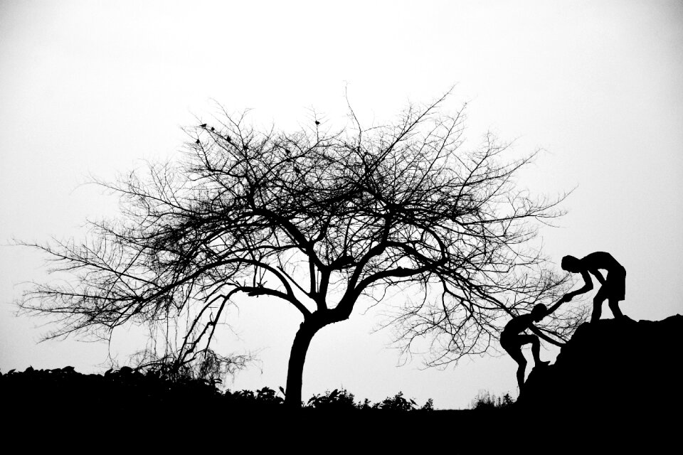 Monochrome black tree man
