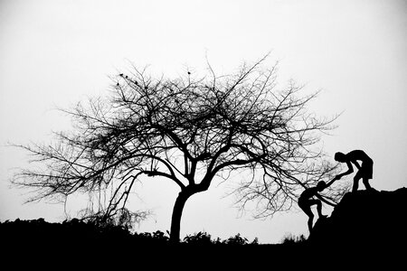 Monochrome black tree man photo