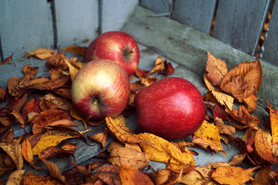 Vitamins harvest healthy