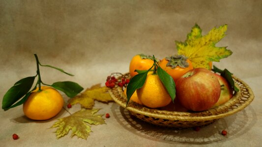 Fruit maple leaves
