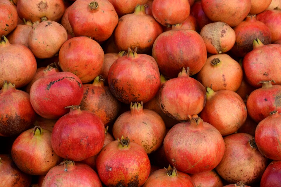 Fruit fruits food