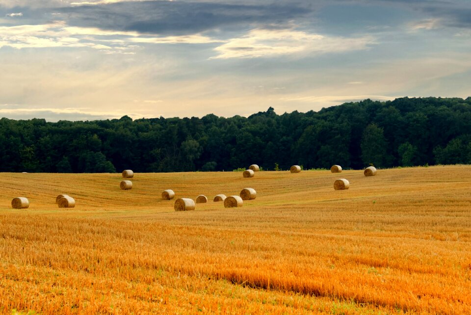 Bale arable agriculture