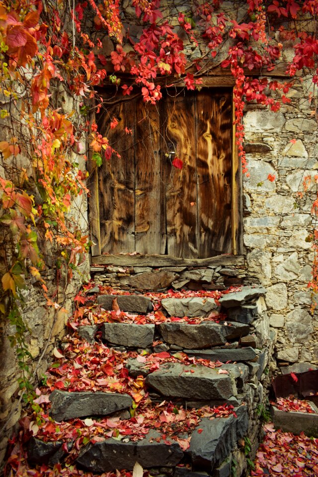 Old entrance wooden