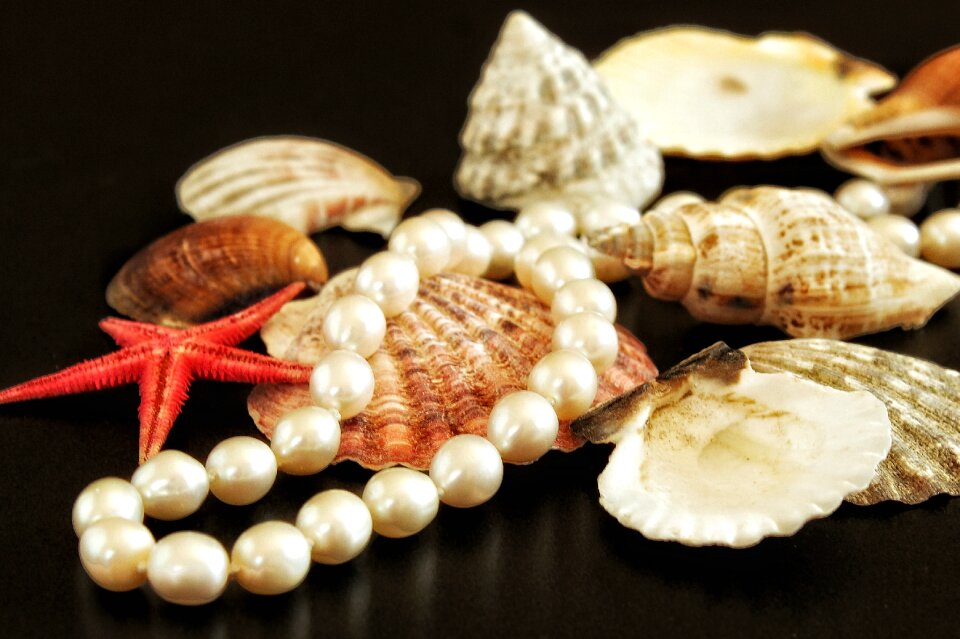 Mussels jeweler woman