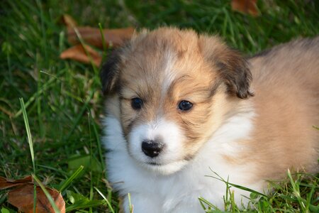 Cute adorable portrait