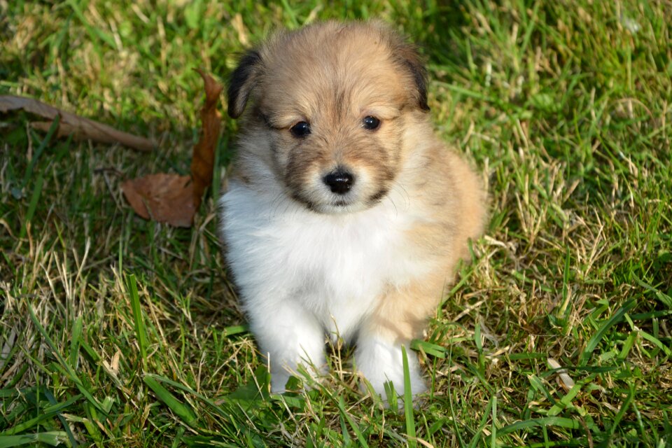 Cute adorable portrait