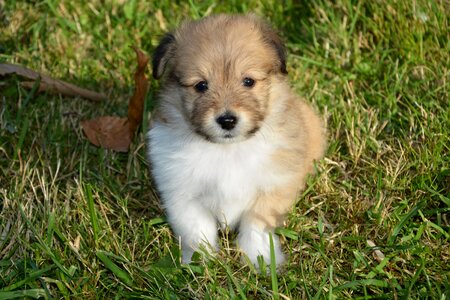 Cute adorable portrait