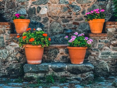 Village summer stone
