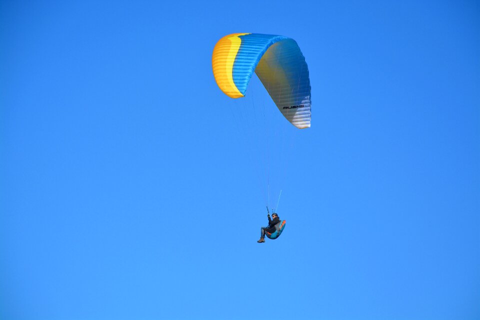 Wing yellow blue entertainment sky