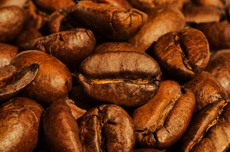 Coffee beans roasted food photo