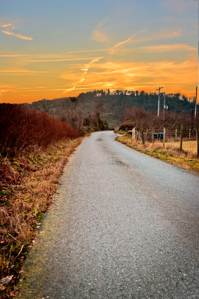 Road grey winter