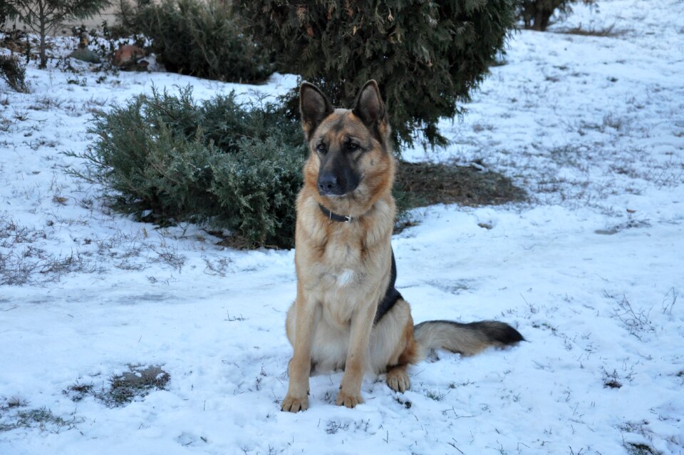 Training snow winter
