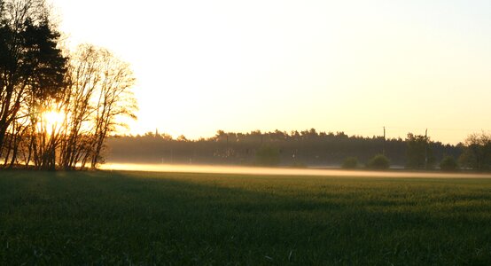 Landscape train foggy