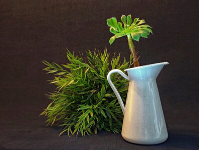 Pot decoration flower vase photo