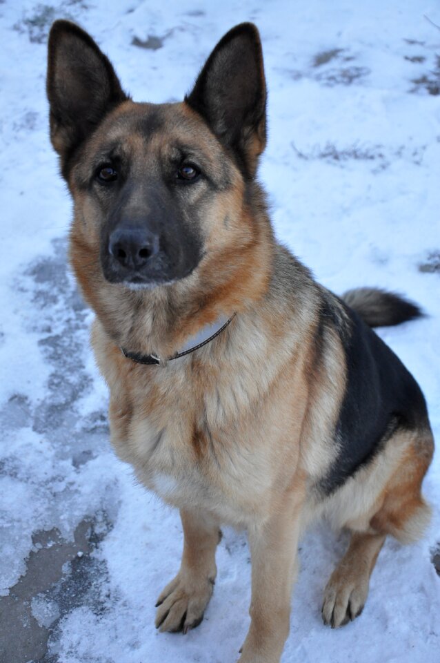 Training snow winter