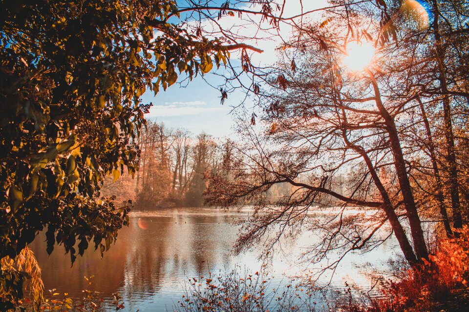 Cold beginning of winter mood
