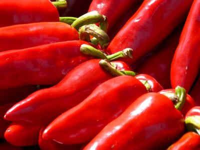 Euskal herria red paprika
