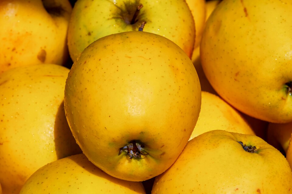 Vitamins tasty fresh