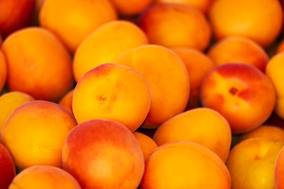 Fruits sweet delicious