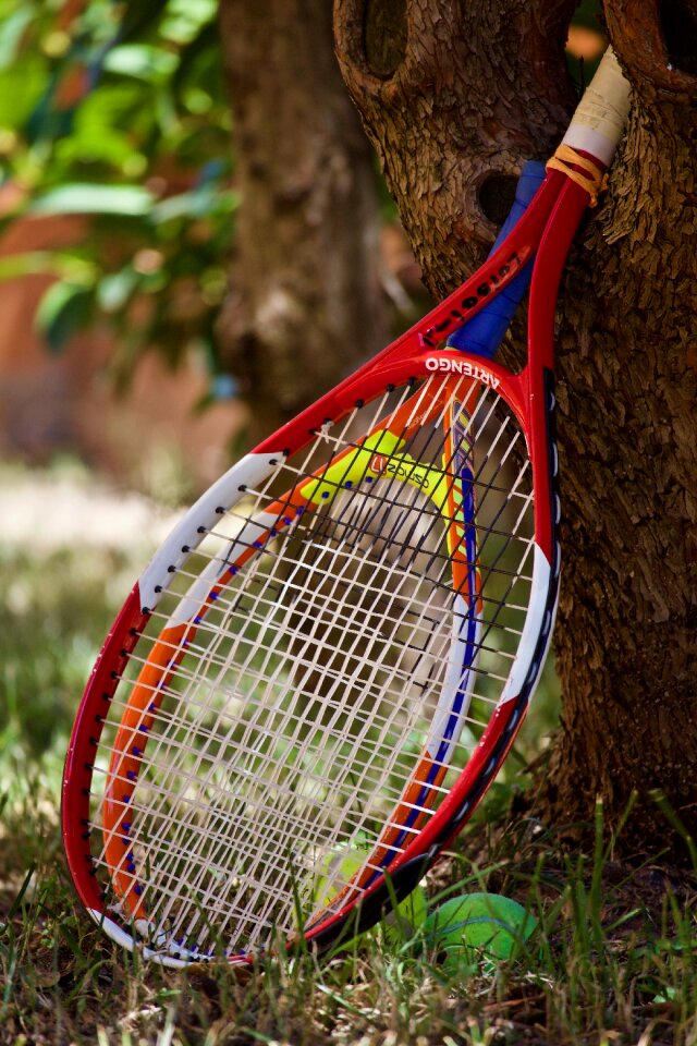 Sport sports fun