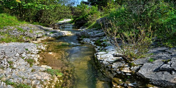 Valley white water nature spring water