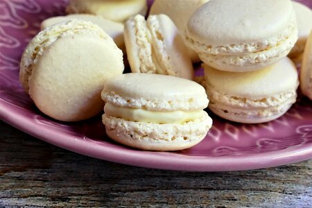 Sweet pastry shop macaron photo