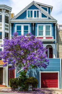 Jacaranda architecture california