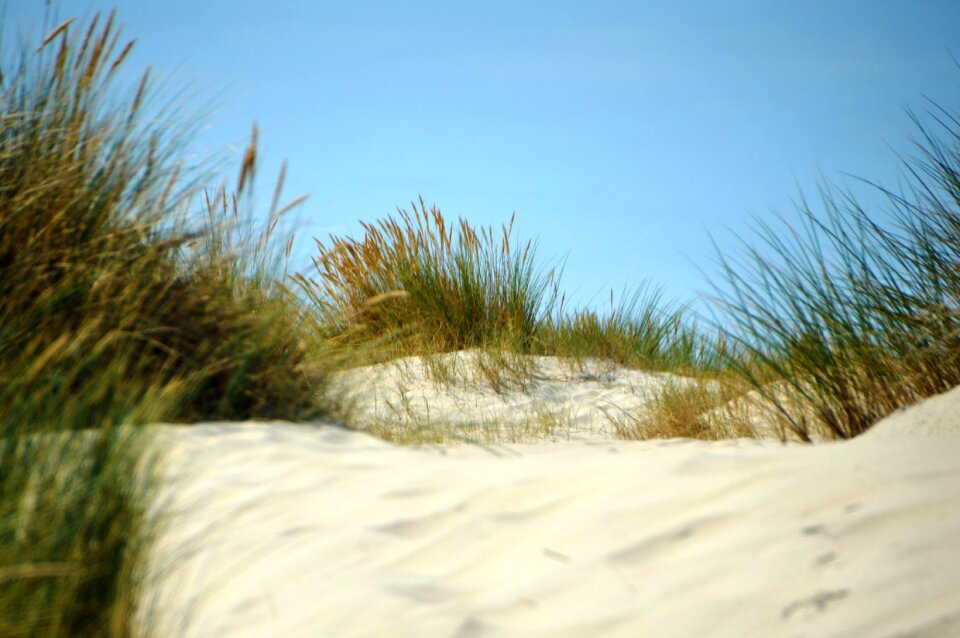 Resort the touquet france