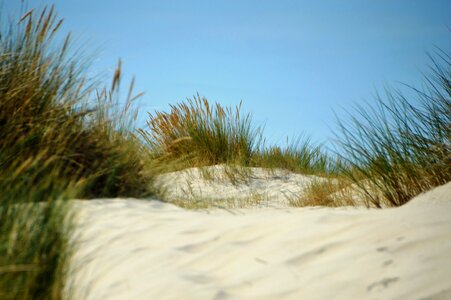 Resort the touquet france