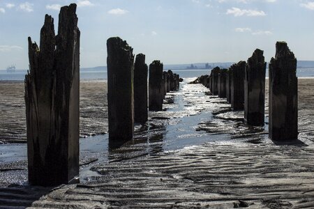 Posts old pier gray beach