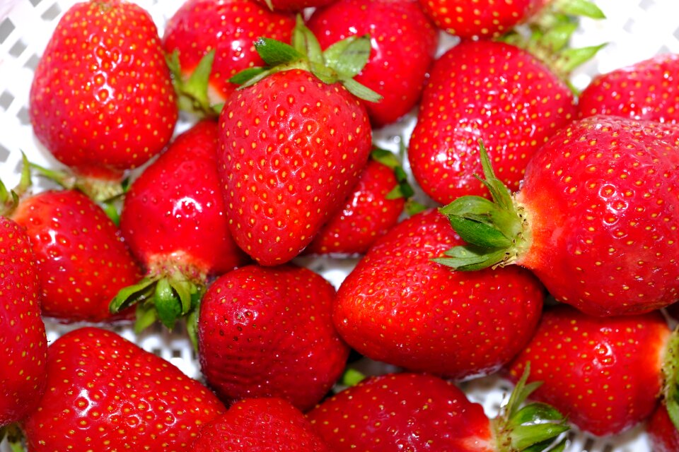 Summer vitamins healthy