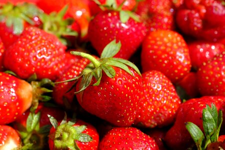 Summer vitamins healthy